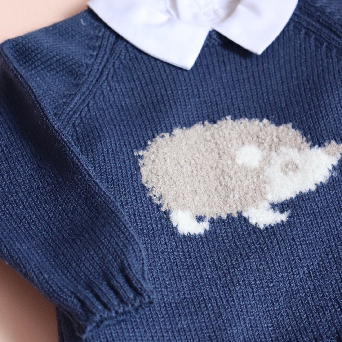 Conjunto Erizo Niño Azul Marino