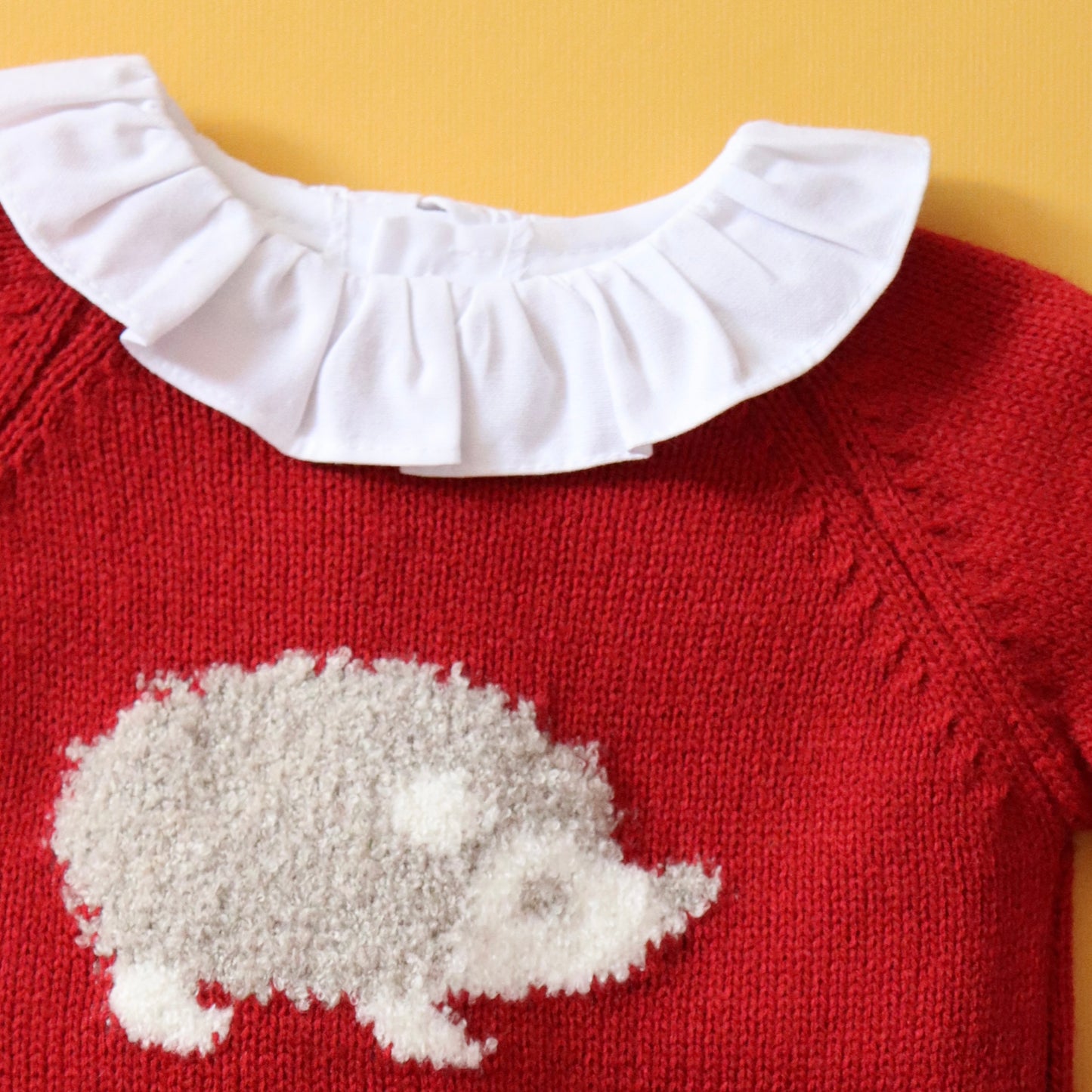 Conjunto Erizo Niño Rojo