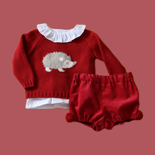 Conjunto Erizo Niño Rojo
