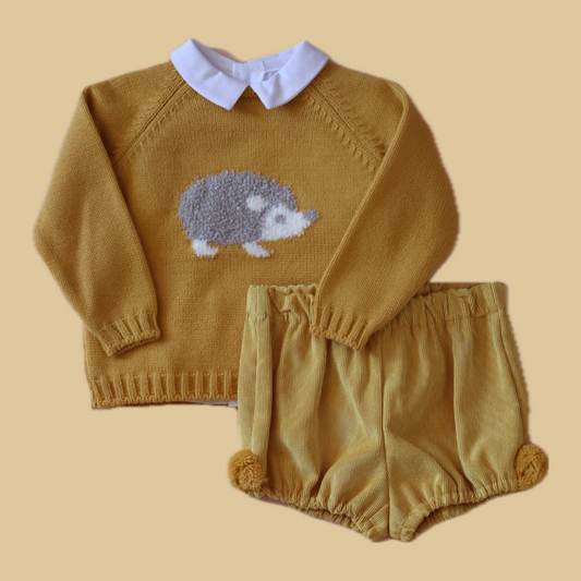 Conjunto Erizo Niño Amarillo
