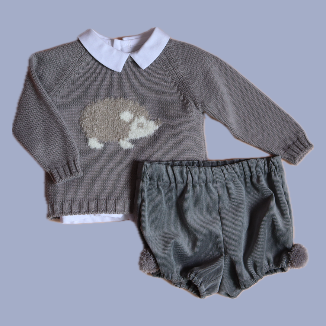 Conjunto Erizo Niño Gris