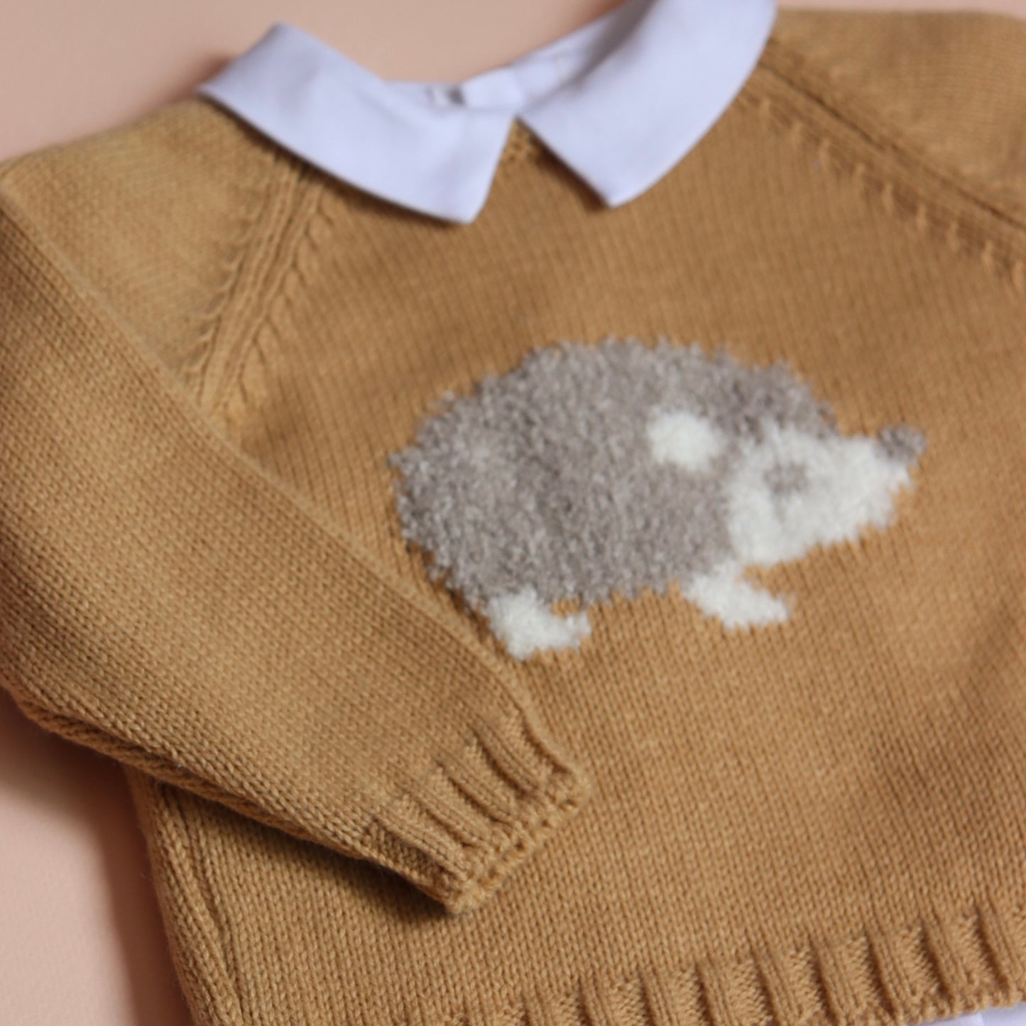 Conjunto Erizo Niño Beige
