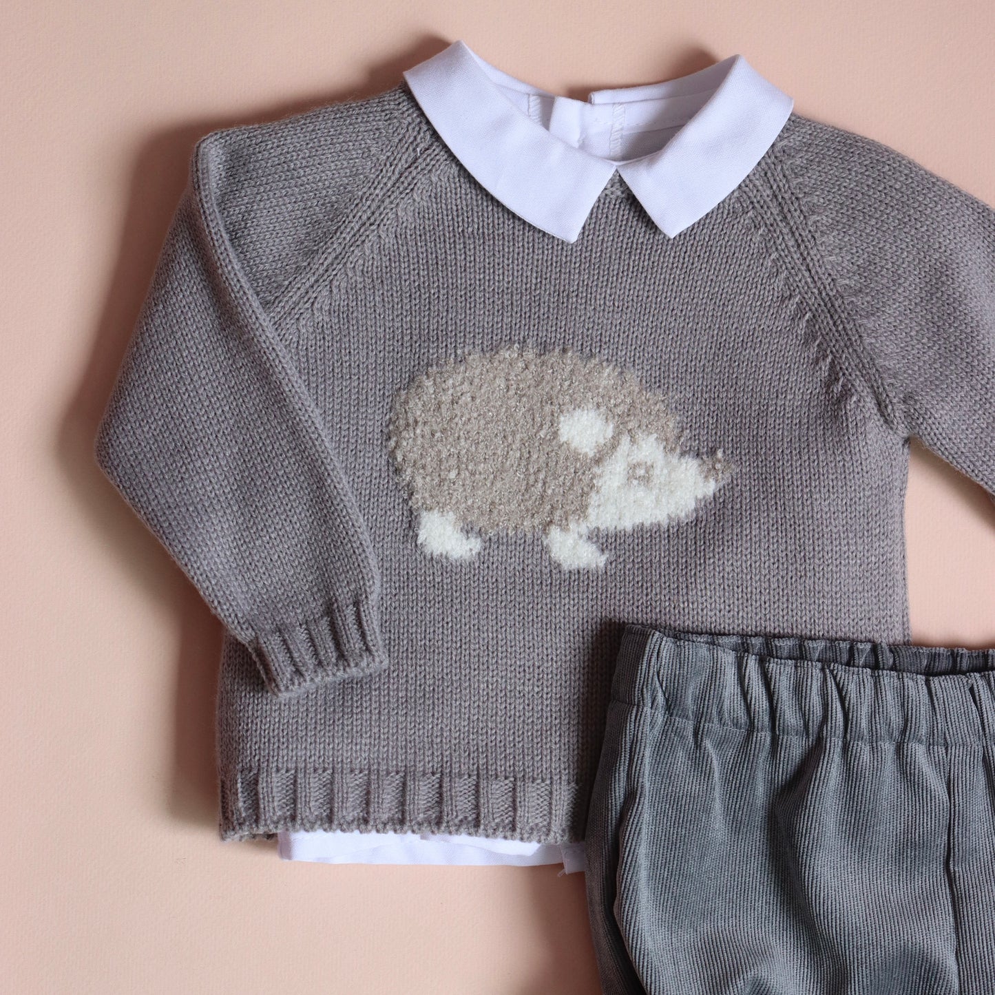 Conjunto Erizo Niño Gris