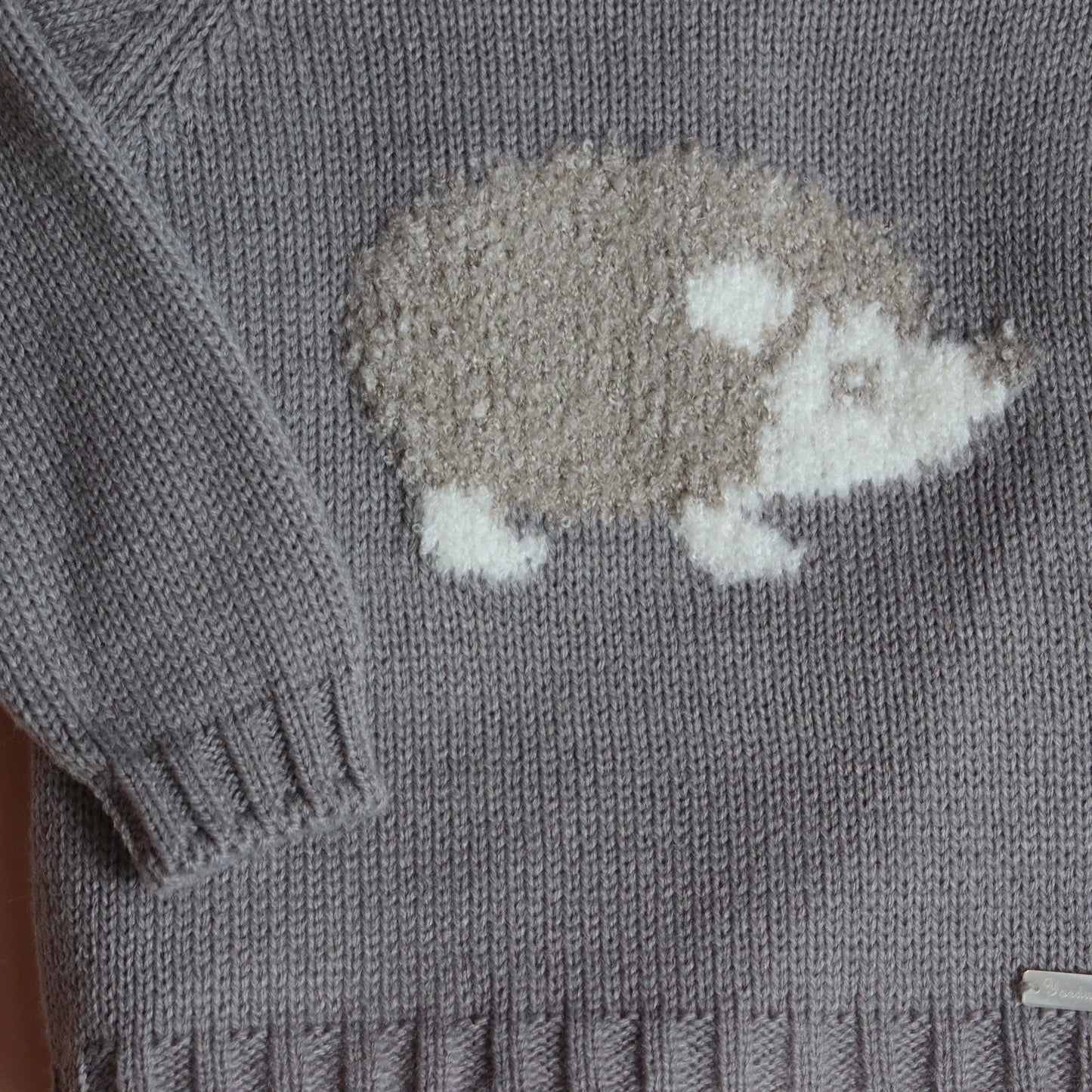 Conjunto Erizo Niño Gris