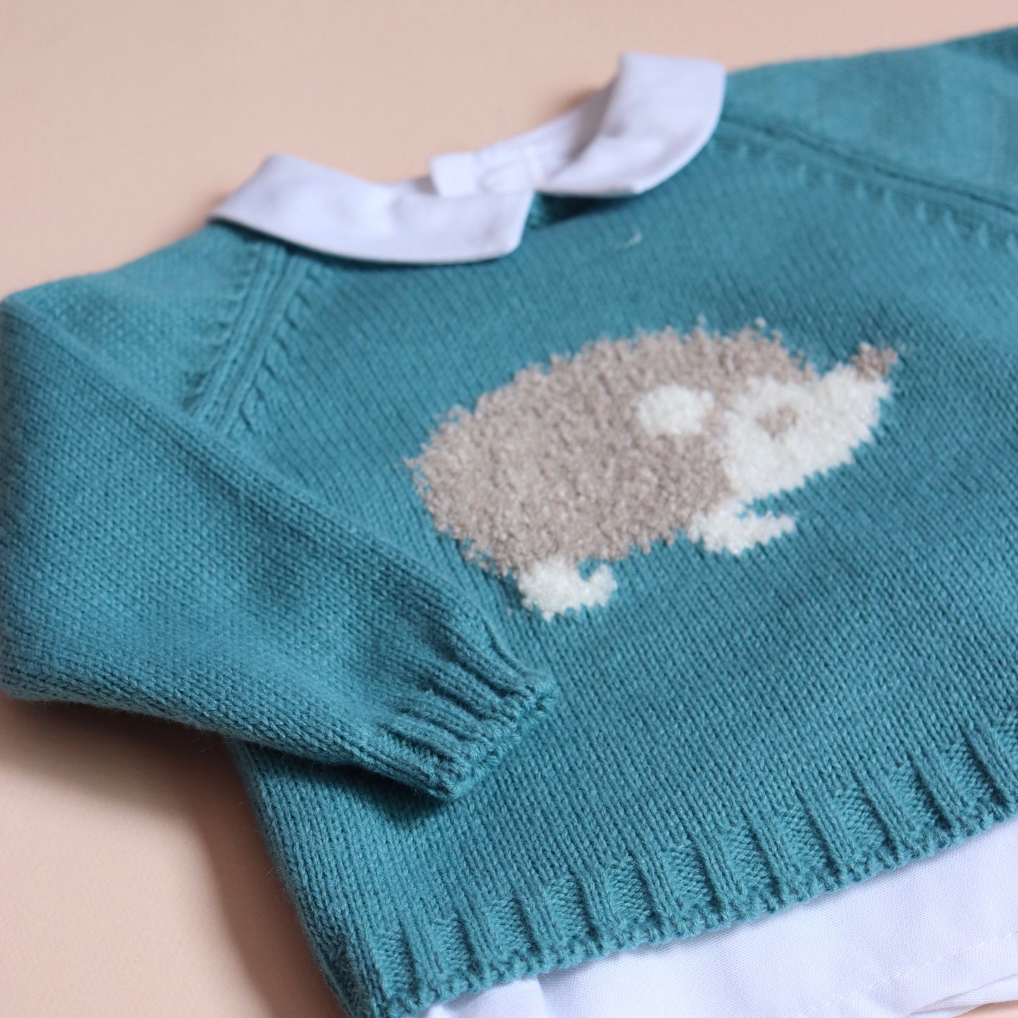 Conjunto Erizo Niño Verde Turquesa