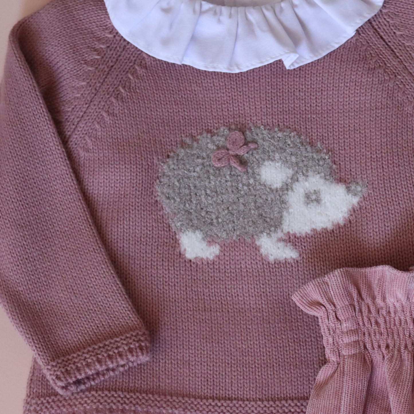 Conjunto Erizo Niña Rosa